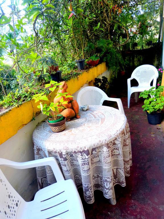 Pouso Das Glicinias - B&B Ouro Preto  Bagian luar foto